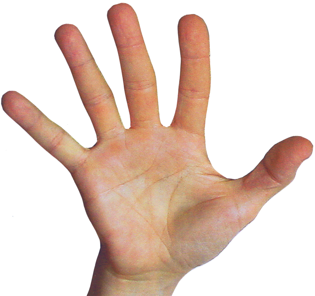 Fingers and Planets - Mark Seltman's Real Palmistry BlogMark Seltman's