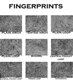 fingerprints2