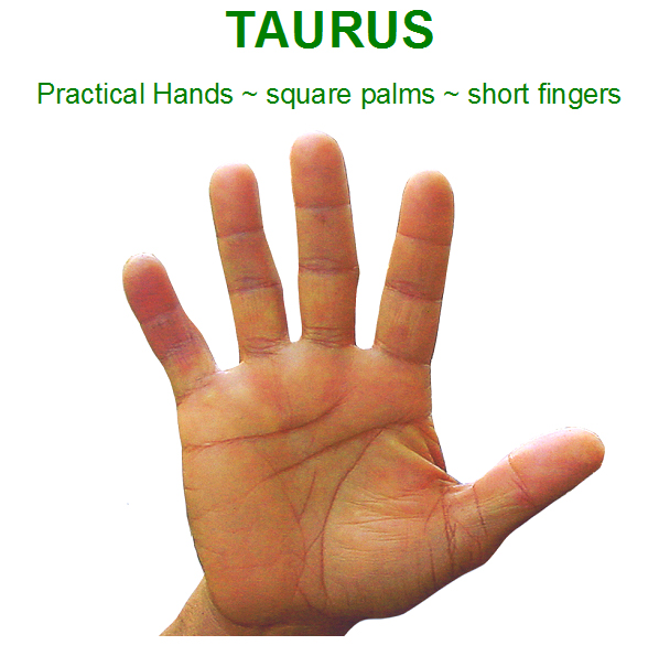 Taurus3