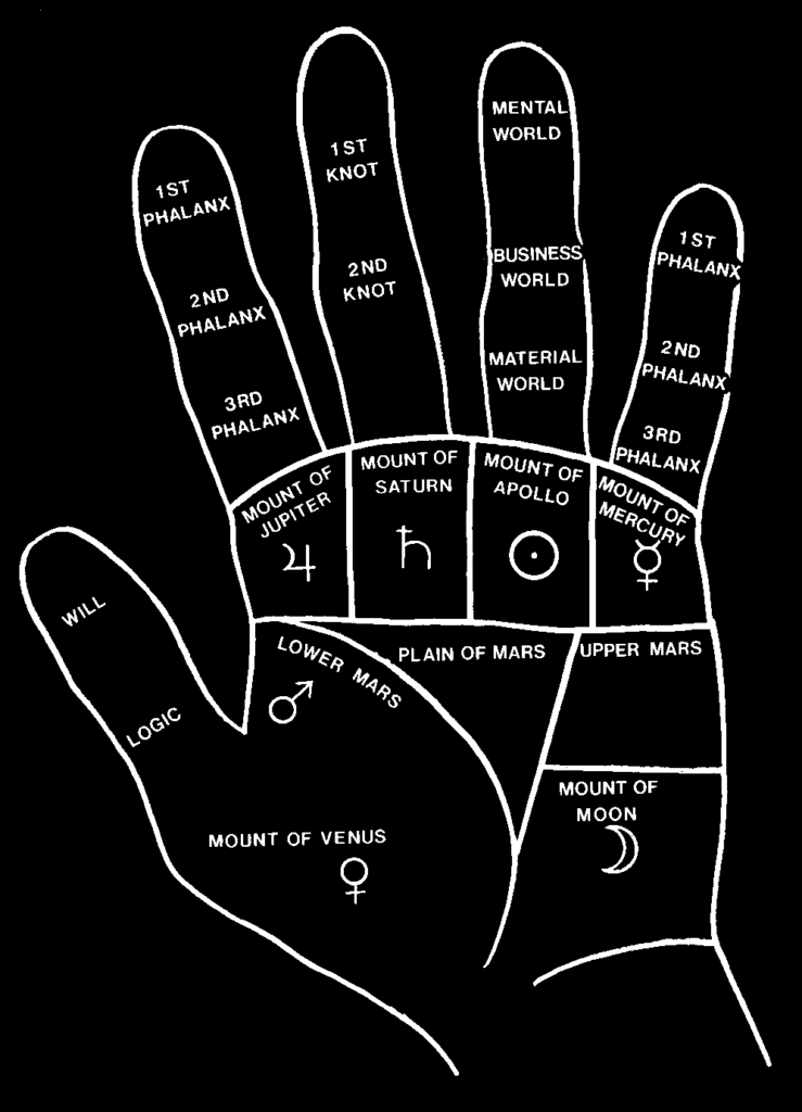 Western Hand diagram